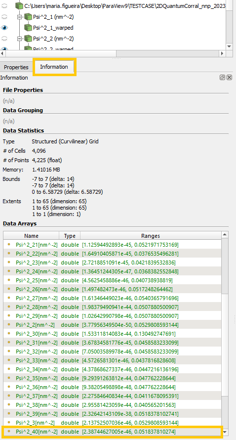 ../../../../_images/nnmt_export_ParaView_python_2d_Information_tab.png